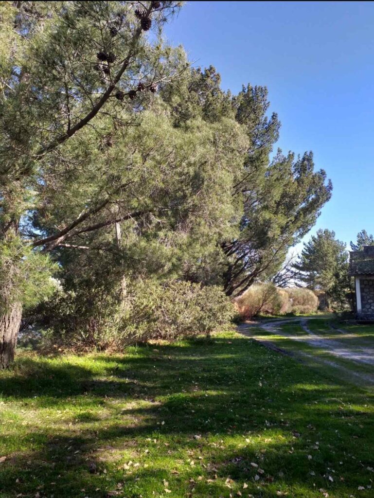 Κατασκήνωση 5